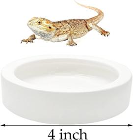 img 2 attached to 🐢 iHomeSet - 2 Pack Ceramic Reptile Food Bowls | Water Feeder Anti-Escape Mini Reptile Feeders for Lizard, Gecko, and More | Round White 4 Ounce Capacity