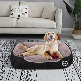 img 1 attached to Experience Ultimate Comfort With PUPPBUDD'S Orthopedic Dog Bed For Large Dogs - Washable, Breathable, And Cozy Rectangle Pet Sofa