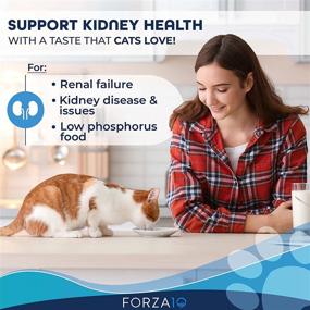 img 3 attached to Forza10 Renal Cat Food Combo: 16 Packs of Wet Cat Food Kidney RENAL ACTIWET 🐱 with Lamb and 1 Pound of Active Dry Cat Food Kidney Care Renal Diet for Adult Cats