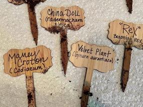 img 7 attached to Eco-Friendly Bamboo Plant Labels And Marker Set For Organized Gardening
