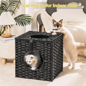 img 3 attached to MEWOOFUN Rattan Cat House: Wicker Cat Bed for Indoor Cats, Detachable Cat House with Litter Box, Soft Cushion, and Ball Toy