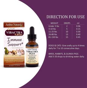 img 1 attached to 🐾 Boost Your Pet's Immune System with AMBER NATURALZ VIBACTRA Plus - 1 Ounce