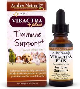 img 4 attached to 🐾 Boost Your Pet's Immune System with AMBER NATURALZ VIBACTRA Plus - 1 Ounce