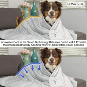 img 2 attached to PetFusion Blanket Ultra Cool Lightweight Technology Cats