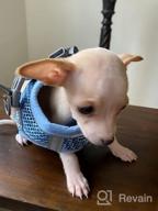 img 1 attached to Pink XS Dog And Cat Harness With Leash - Escape Proof, Reflective, And Comfortable Fit For Small To Medium Pets review by Michael Lightfoot
