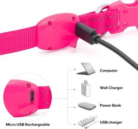 img 1 attached to 🐶 BSEEN Pink Light Up Dog Collar - Rechargeable LED Glowing Collar for Small Dogs & Cats