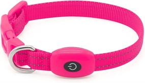 img 2 attached to 🐶 BSEEN Pink Light Up Dog Collar - Rechargeable LED Glowing Collar for Small Dogs & Cats