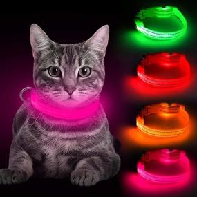 img 4 attached to 🐶 BSEEN Pink Light Up Dog Collar - Rechargeable LED Glowing Collar for Small Dogs & Cats