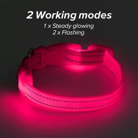 img 3 attached to 🐶 BSEEN Pink Light Up Dog Collar - Rechargeable LED Glowing Collar for Small Dogs & Cats