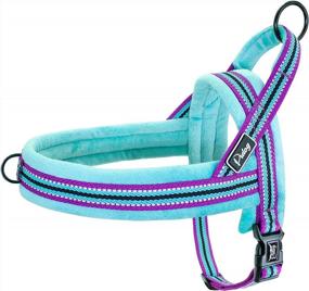 img 4 attached to Didog Soft Flannel Padded Dog Vest Harness, Escape Proof / Quick Fit Reflective Dog Strap Harness,Easy For Walking Training (S:Chest 18-22", Mixed-Blue)