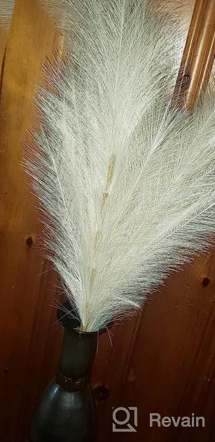 img 1 attached to Add Boho Flair To Your Home With Alishomtll'S 5 Piece 38'' Faux Pampas Grass Bundle! review by Shawn Schmidt