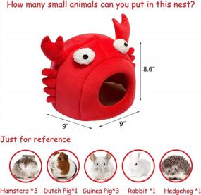 img 2 attached to Cozy And Stylish Red Crab Warm Bed For Small Pets - Ideal For Dutch Pig, Hamster, Hedgehog, Rat, Chinchilla, And Guinea Habitat