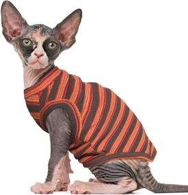 img 4 attached to Безволосый пуловер в полоску без рукавов Peterbald