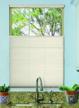light filtering fawn cellular honeycomb shade - 23" w x 48" h - blindsavenue cordless top down bottom up 9/16"" single cell logo