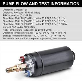 img 3 attached to SPELAB Universal External Fuel Pump - High Flow & 145Psi Pressure For AN10 Inlet/AN6 Outlet - Includes Fuel Pump Filter Bracket - 300LPH