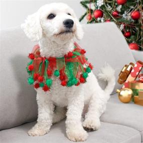 img 3 attached to 🐶 Cyeollo 2 Pack Elastic Dog Collar with Adjustable Halloween and Christmas Ornaments - Pom Pom Accessory for Small to Medium Dogs - Perfect for Pet Parties