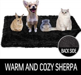 img 1 attached to Мягкое и уютное одеяло из шерпа-флиса для домашних животных от LOCHAS - идеально подходит для собак, кошек и щенков - очень теплый плюшевый чехол из искусственного меха - 20 ''X 30 '' черного цвета