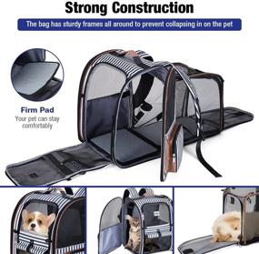 img 2 attached to 🐶 Lekebobor Expandable Pet Backpack Carrier for Small Dogs and Medium Cats - Fits Up to 18 lbs, Foldable Dog Backpack Carrier for Travel, Hiking, Outdoor Use