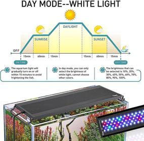 img 1 attached to 🐠 HYGGER Auto On Off LED Aquarium Light, Full Spectrum Fish Tank Light with LCD Monitor, Continuous 24/7 Lighting Cycle, 7 Colors, Adjustable Timer, IP68 Waterproof, 3 Modes for 12"-18" Freshwater Planted Aquarium Tank
