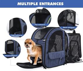 img 1 attached to 🐱 Expandable Cat and Dog Backpack Carrier with Breathable Mesh - Ideal for Small Pets up to 18 lbs - Great for Hiking, Travel, and Camping