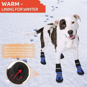 img 1 attached to KOESON Waterproof Reflective Protector Anti Slip Dogs : Apparel & Accessories