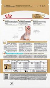 img 3 attached to Senior Yorkshire Terrier Dry Dog Food By Royal Canin For Dogs Over 8 Years Old