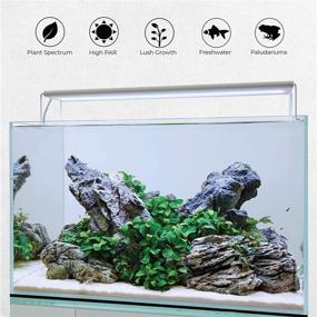 img 3 attached to 🌿 Enhance Your Freshwater Plant Aquarium with Current USA SereneSun LE PRO LED Light: 24 Hour Timer Control, High Output Full Spectrum, 460nm Red, Wireless Remote, Tall Brackets - Ideal for Fish Tanks 18-24 Inch