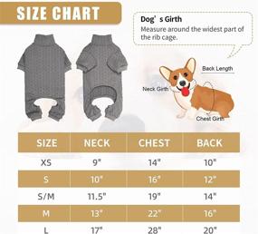 img 3 attached to 🐶 Cozy and Stylish Dog Sweater: Turtleneck Knitted Clothes for Large Dogs - Grey & L