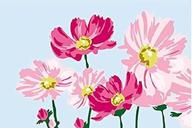 🎨 diy oil painting: paint-by-number kits for kids - create stunning blooming flowers (20x30cm) logo