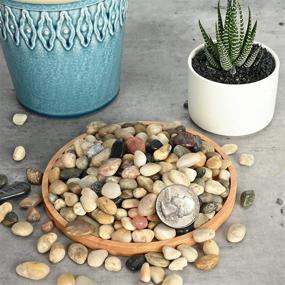 img 3 attached to 🪨 Natural Polished Pebbles: Small Decorative Stones for Succulent, Bonsai, Landscaping & More - 2.5LB