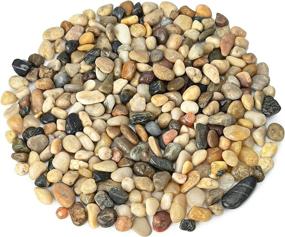 img 4 attached to 🪨 Natural Polished Pebbles: Small Decorative Stones for Succulent, Bonsai, Landscaping & More - 2.5LB