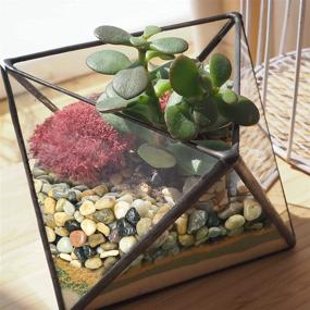 img 2 attached to 🪨 Natural Polished Pebbles: Small Decorative Stones for Succulent, Bonsai, Landscaping & More - 2.5LB