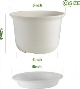 img 3 attached to Set Of 15 ZOUTOG 6-Inch Plastic Plant Pots With Drainage Holes And Trays - Ideal For Indoor Plants, Color: White (Plants Not Included)