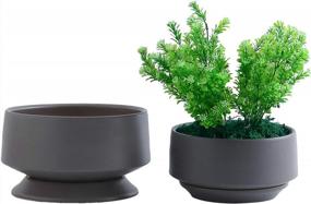 img 4 attached to Set Of 2 Modern Matte Grey Ceramic Planters With Drainage Hole And Saucer For Indoor Bonsai And House Plants