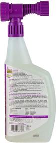 img 3 attached to Revitalize Your Outdoor Windows with Rejuvenate Window Spray and Rinse Cleaner - 32oz (Pack of 2) incl. Hose End Adapter!