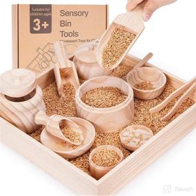 img 4 attached to Wooden Sensory Bin Tools Set for Toddlers - Montessori Toys, Sensory Toys for Fine Motor Development - Includes 12 Wooden Scoops and Tongs for Transfer Work and Motor Skills Learning