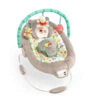bright starts winnie the pooh dots & hunny pots baby bouncer with vibrating infant seat, music & 3 playtime toys, 23x19x23 inch logo