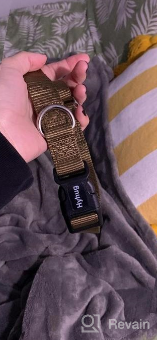 img 1 attached to Small Dog Collar With Adjustable Triglide Buckle For Name Tag Attachment - Heavy-Duty And Stylish In Classic Blue Color By Hyhug Pets review by Kaylon Mackey