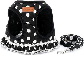 img 2 attached to 🐾 Zunea Polka Dots Cat Harness and Leash Set: Stylish Girl Kitten Crown Design, Escape Proof and No Pull, Ideal Vest for Walking - Step in Soft Mesh Padded Puppy Harness for Small Dog