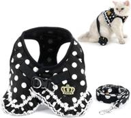 🐾 zunea polka dots cat harness and leash set: stylish girl kitten crown design, escape proof and no pull, ideal vest for walking - step in soft mesh padded puppy harness for small dog логотип