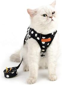 img 3 attached to 🐾 Zunea Polka Dots Cat Harness and Leash Set: Stylish Girl Kitten Crown Design, Escape Proof and No Pull, Ideal Vest for Walking - Step in Soft Mesh Padded Puppy Harness for Small Dog