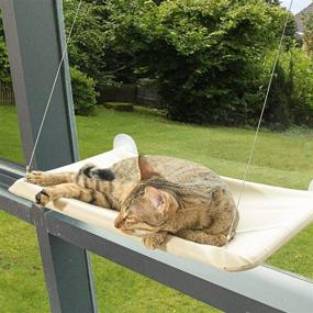 img 3 attached to 🐱 Ultimate Comfort and Fun: Cat Window Perch and Hammock for Cats Up to 50lbs!