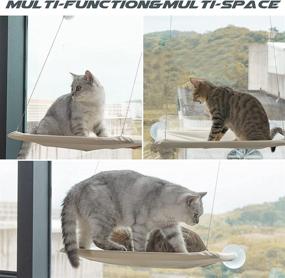 img 1 attached to 🐱 Ultimate Comfort and Fun: Cat Window Perch and Hammock for Cats Up to 50lbs!