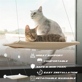 img 2 attached to 🐱 Ultimate Comfort and Fun: Cat Window Perch and Hammock for Cats Up to 50lbs!