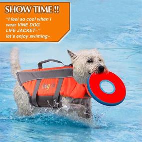 img 3 attached to Jacket Adjustable Buckles Flotation Swimming Dogs