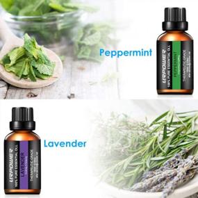 img 1 attached to URPOWER Essential Oils Gift Set with Upgraded 6 Aromatherapy Oils: Lavender, 🌿 Peppermint, Sweet Orange, Eucalyptus, Tea Tree, and Lemongrass - 100% Pure and 10ml Each