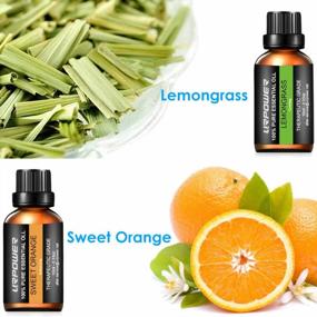 img 2 attached to URPOWER Essential Oils Gift Set with Upgraded 6 Aromatherapy Oils: Lavender, 🌿 Peppermint, Sweet Orange, Eucalyptus, Tea Tree, and Lemongrass - 100% Pure and 10ml Each