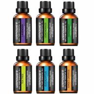 urpower upgraded 6 aromatherapy essential oil set with diffuser - pure lavender, peppermint, orange, eucalyptus, tea tree and lemongrass essential oils logo