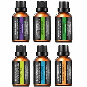 img 4 attached to URPOWER Essential Oils Gift Set with Upgraded 6 Aromatherapy Oils: Lavender, 🌿 Peppermint, Sweet Orange, Eucalyptus, Tea Tree, and Lemongrass - 100% Pure and 10ml Each