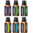 urpower essential oils gift set with upgraded 6 aromatherapy oils: lavender, 🌿 peppermint, sweet orange, eucalyptus, tea tree, and lemongrass - 100% pure and 10ml each logo